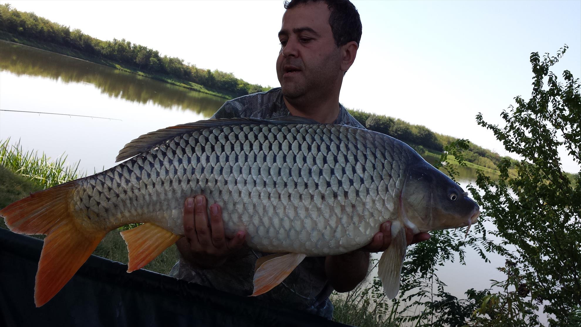 Peris 2013 - 2013-09-08-112211.jpg